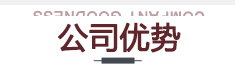 我們的優(yōu)勢